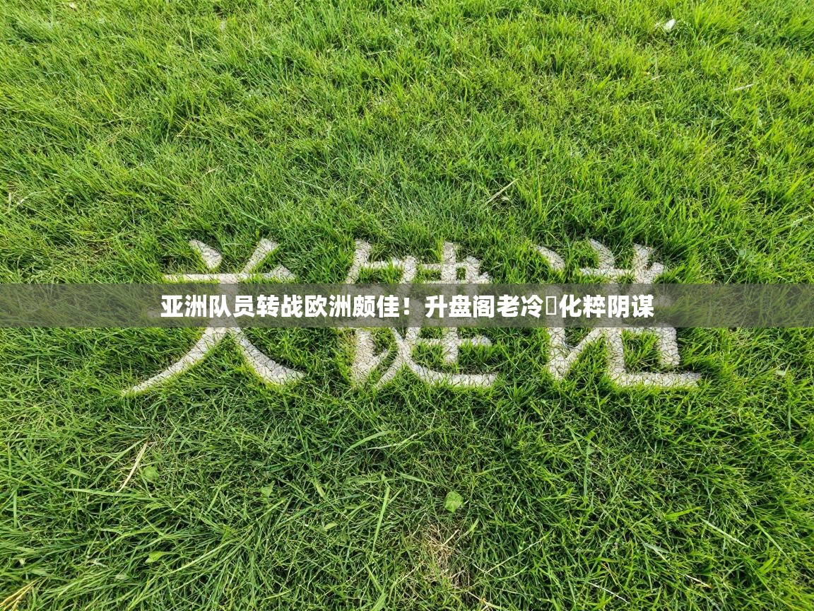 亚洲队员转战欧洲颇佳！升盘阁老冷珼化粹阴谋  第2张