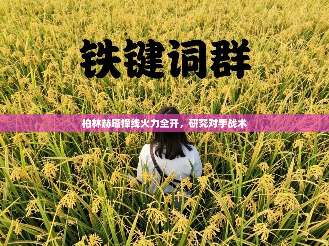 柏林赫塔锋线火力全开，研究对手战术