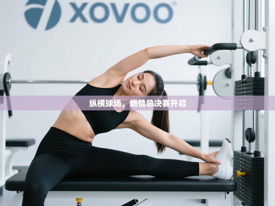 纵横球场，燃情总决赛开启